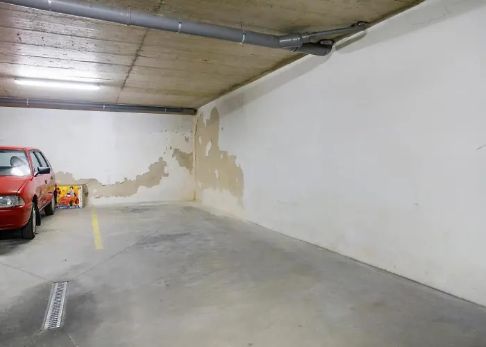 Ao - Tina House フェレル